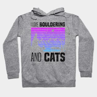 I Love Bouldering And Cats, Cat Owners And Rock Climbing Sport Lovers Hoodie